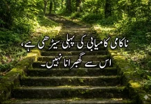 Best 13 Success Quotes In Urdu For Motivation Success Quotes In Urdu