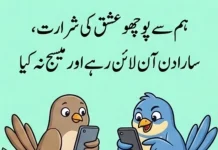 Top 15 Very Funny Poetry In Urdu For Friends And Girl funny poetry in urdu