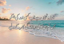 12 Top Romantic Love Quotes In Urdu Text 2 Line Shayari for Status 2026 Love Quotes In Urdu